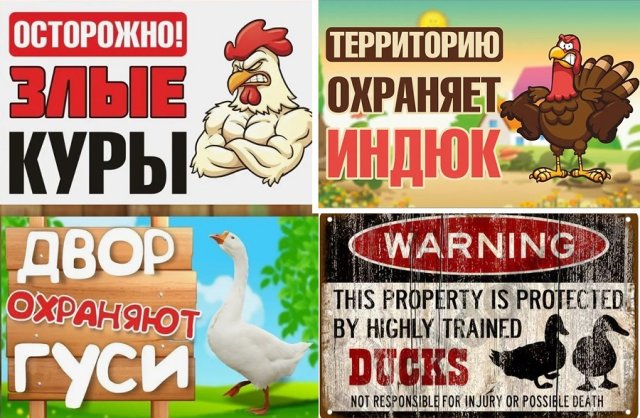 Смешные таблички на забор и адресники – украшаем участок с юмором 