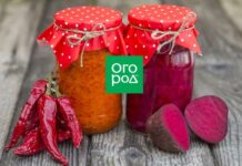 Блюда из свеклы на праздничный стол и на каждый день