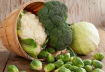 Как посеять капусту под зиму и что для этого надо знать