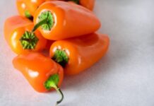 Мини-перцы: 10 сортов со сладкими компактными плодами