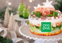 Необычные холодные закуски: чем удивить гостей в Новый год, Рождество и любой праздник