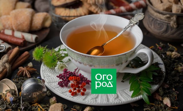 Простые и вкусные осенние пироги: лучшие рецепты для отличного настроения 