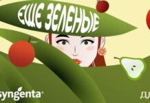 «Еще зеленые»: встречаем Новый год вместе… с елкой!