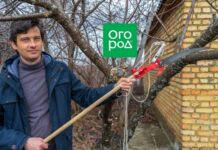 11 советов, полученных нами от читателей в феврале