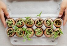 7 советов, полученных от наших читателей в марте