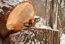 Валка деревьев в Наро-Фоминске: практическое руководство для домовладельцев