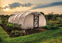 Какая пленка лучше для парника и теплицы: ТОП-15 лучших видов пленочных материалов, рейтинг 2024 года