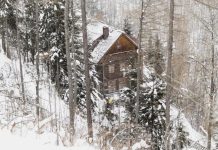 Названы регионы с подешевевшей краткосрочной арендой — Строительная газета