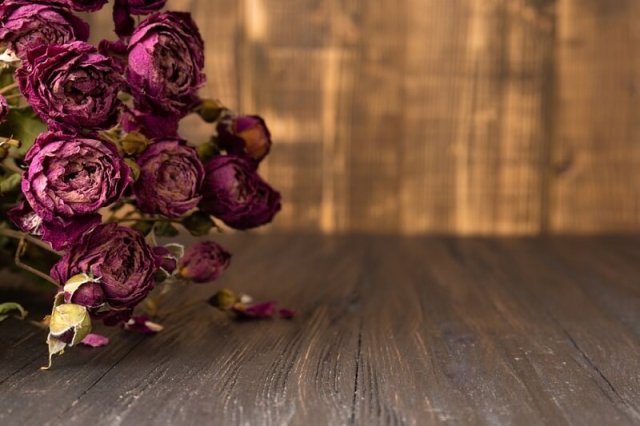 5 идей, что сделать с цветами из букета