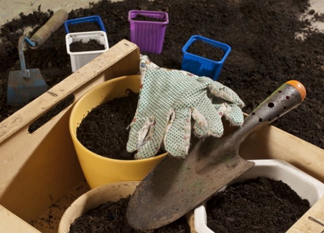 5 правил идеальной рассады капусты