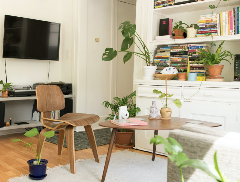 5 важных моментов в уходе за комнатными растениями, о которых все забывают | ivd.ru