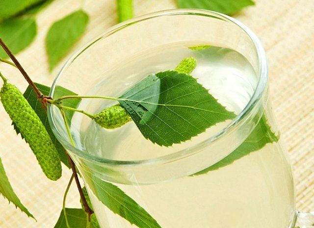 7 простых рецептов кваса из березового сока 