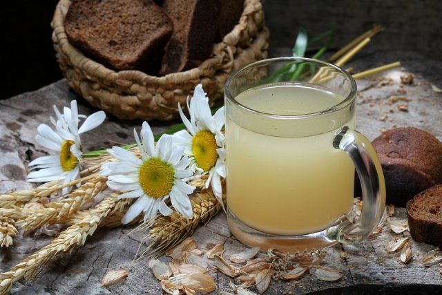 7 простых рецептов кваса из березового сока 