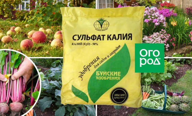 8 фосфорных и калийных удобрений, которые пригодятся и рассаде, и взрослым растениям 