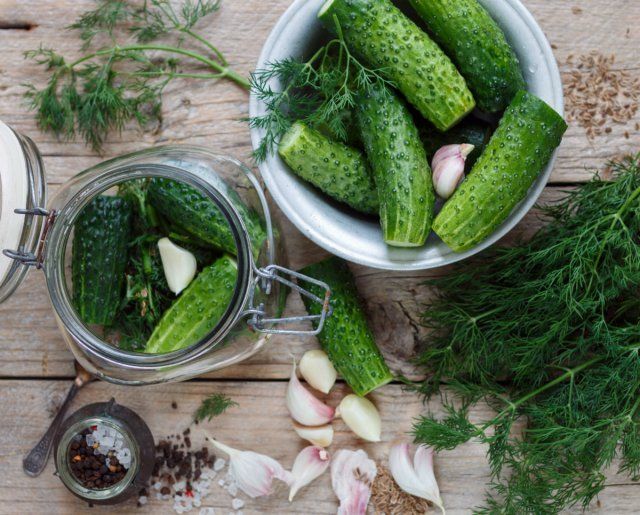8 отличных рецептов вкусных маринованных огурцов 