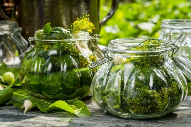 8 отличных рецептов вкусных маринованных огурцов 