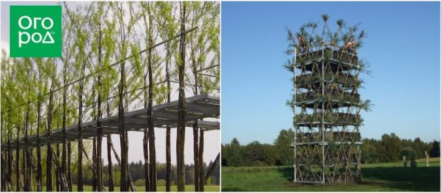 Бауботаника – искусное соединение живой и неживой природы 