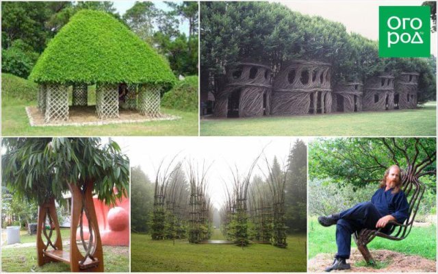 Бауботаника – искусное соединение живой и неживой природы 