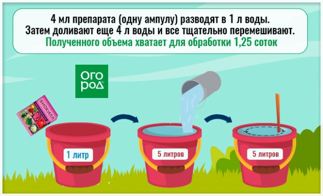 Чем опрыскать капусту от гусениц безопасно и эффективно 