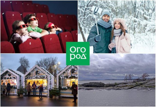 Чем заняться в новогодние каникулы 2024: 20 идей для детей и взрослых