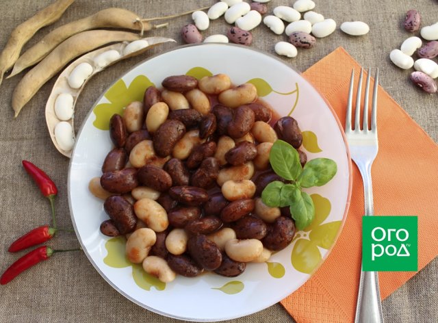 Фасоль: полезные свойства, особенности хранения и приготовления