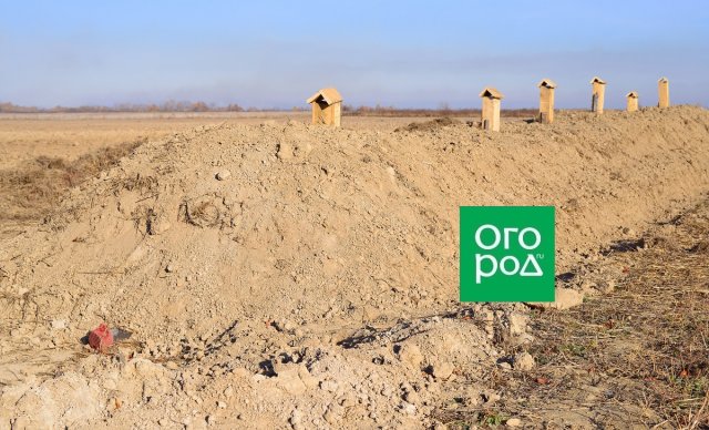 Готовимся к уборке урожая – выбираем место для хранения 