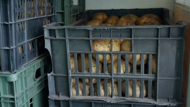 Готовимся к уборке урожая – выбираем место для хранения 