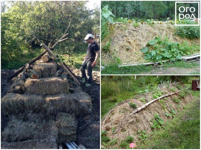 Грядка, которая может заменить парник 