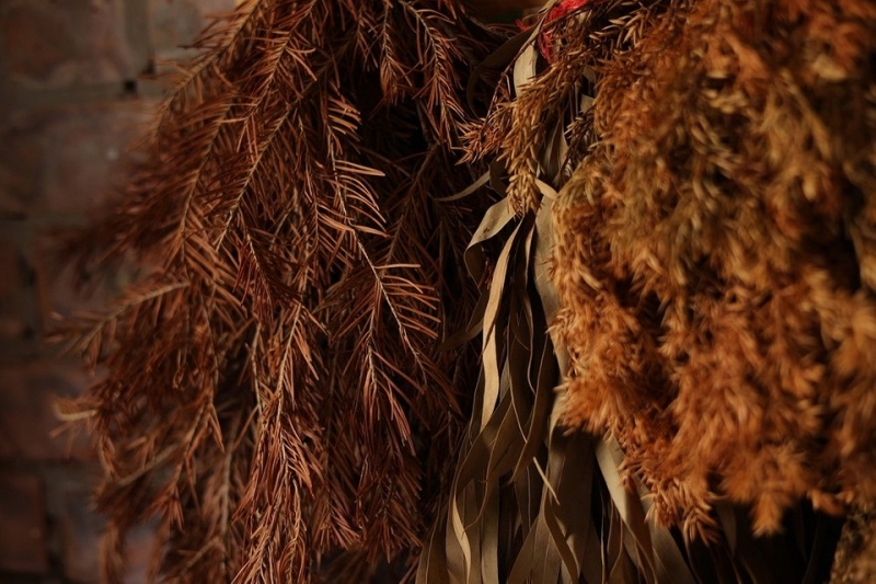 Как использовать хвою с елки в быту после Нового года: 6 способов | ivd.ru