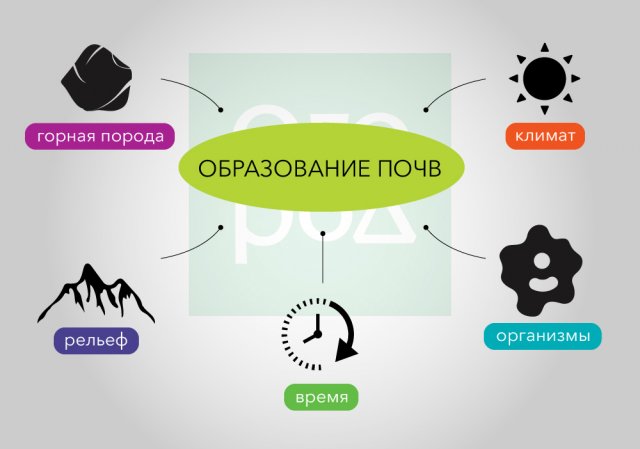Как появились вода, почва и растения – интересно о сложном для любопытных дачников