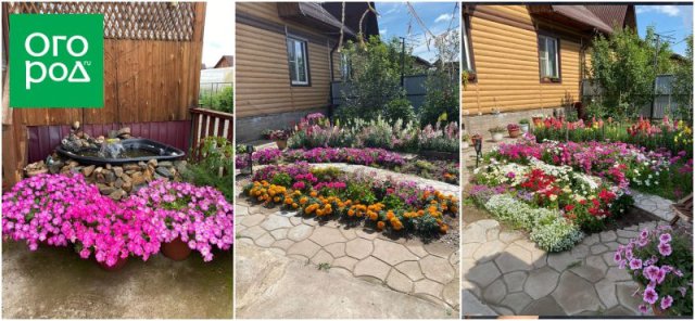 Как превратить хобби в цветочный бизнес и стать популярным блогером 