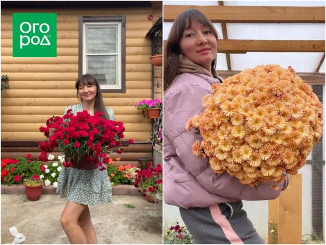 Как превратить хобби в цветочный бизнес и стать популярным блогером 