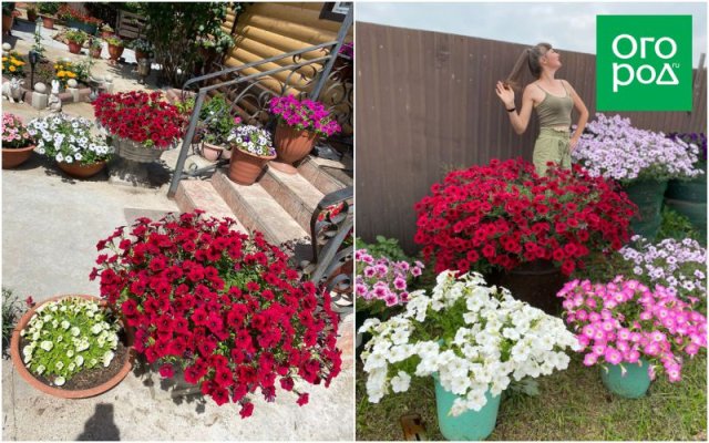 Как превратить хобби в цветочный бизнес и стать популярным блогером 