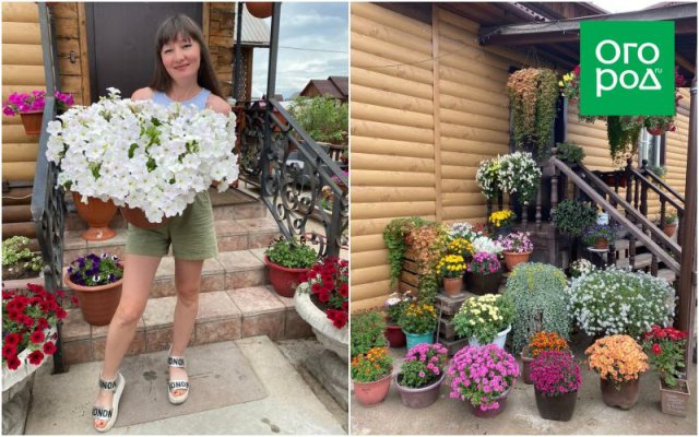 Как превратить хобби в цветочный бизнес и стать популярным блогером 