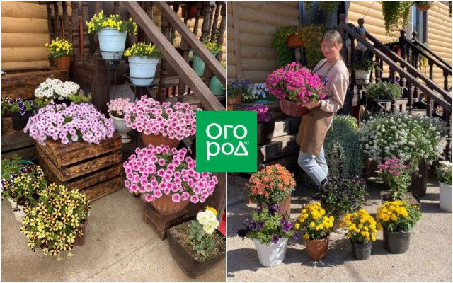 Как превратить хобби в цветочный бизнес и стать популярным блогером 