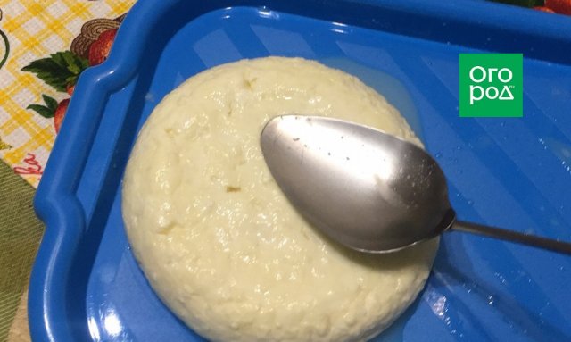 Как сделать сыр своими руками: мастер-класс от фермера
