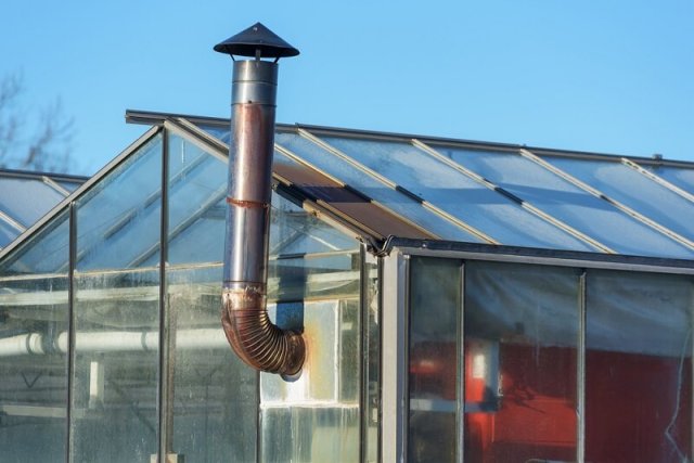 Как спасти сад и огород после снегопада в мае 