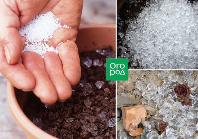 Как свести подкормки и поливы к минимуму: 6 простых способов 