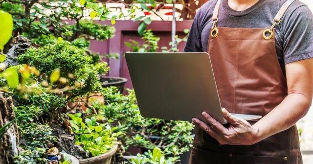 Как заработать на комнатных растениях 