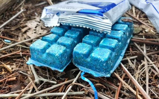 Как защитить дачу от мышей перед осенними холодами 