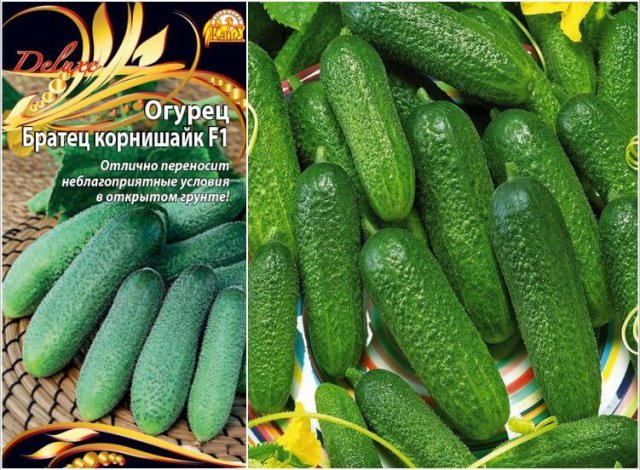 Какие сорта овощей и зелени стоит посадить в сезоне 2023 