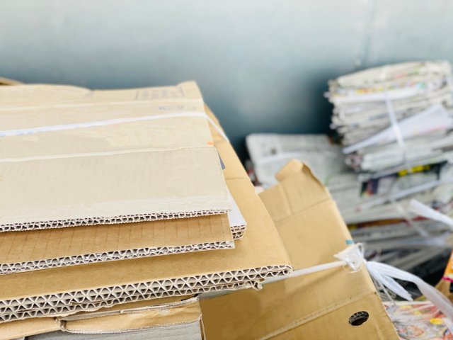 Картон и газеты на грядках: зачем нужны и как их применять без вреда для урожая 