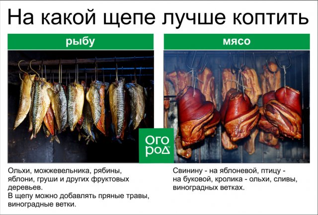 Коптильня своими руками – 4 простых варианта 