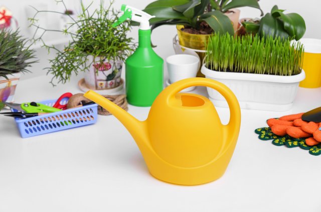 Кто его раздевает, тот пользу получает – 7 способов применения луковой шелухи на даче