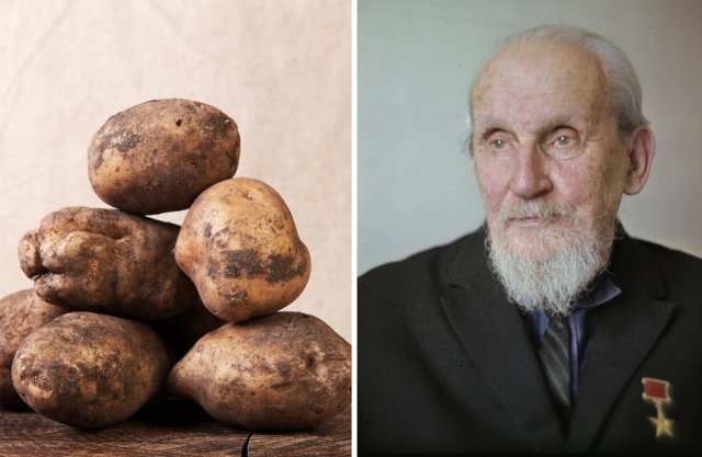 Легендарные садоводы: 15 людей, которые создали современное сельское хозяйство 
