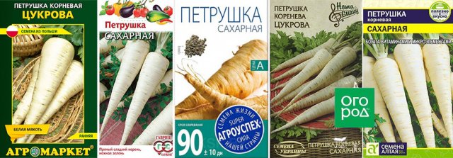 Лучшие сорта петрушки – корневой и листовой 