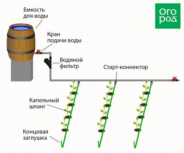 Несколько идей, как сделать капельный полив на даче своими руками 