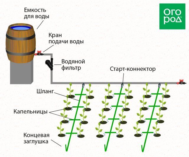 Несколько идей, как сделать капельный полив на даче своими руками 