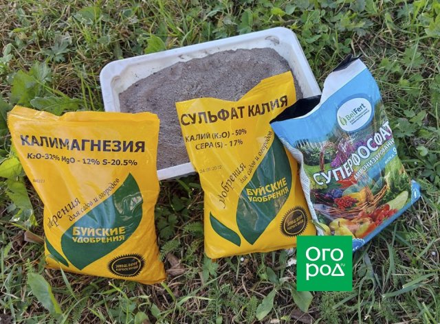 Осенний уход за лужайкой: 5 главных дел 