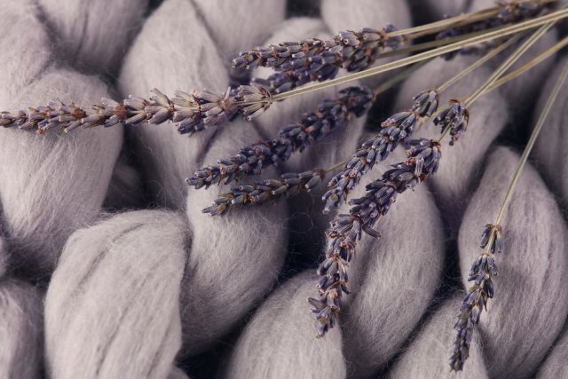 Платяная моль: как бороться и как победить